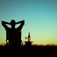 Simba the son of Mufasa!