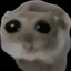 gerbert