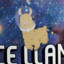 Space Llama