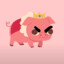 Zachary_555