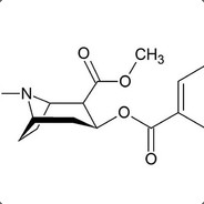 Pseudomona aureginosa
