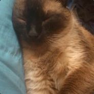 pablo_lc [FC]