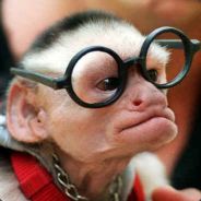 PyroMonkey - steam id 76561197971032497