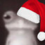 Froga