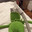 KingKermit