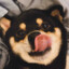 麻瓜