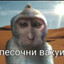 Яна Цист