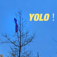 头好痒好像要长脑子了