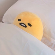 逆天双非狗DOME上