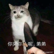 比奇堡开inpa，海绵宝宝控诉他们无孔不入