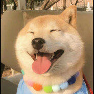 爸爸（StatTrak™）