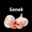 Sanek_Chesnok
