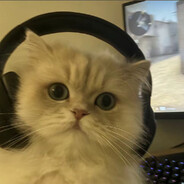 人活着只为了不吃香菜