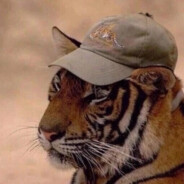 sames - steam id 76561199246628453