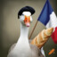 France Oie