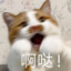 出发