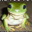 Rice_Froggo