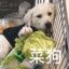 我在戳