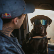 翻斗花园牛爷爷