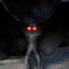 Mothman