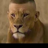 !dexter - steam id 76561198978561510