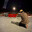 al1en_driver