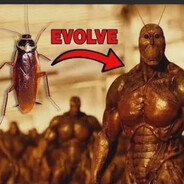 roachqing avatar