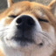 波少野结衣