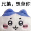 小鸭c
