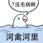 橘子味的星星花