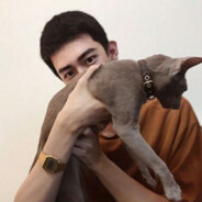 ikun.家族白龙马