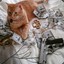 barsicthecat