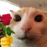 对一个三次元女友求导得到三个二次元女友