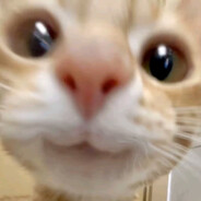 80岁老登带俩娃