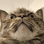UsedCottonSwabs