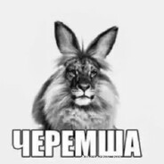 [BBL] Целую сосну #smo