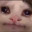 Weasel