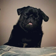 epta - steam id 76561198990155244