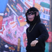 不会又白给了吧