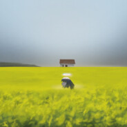 别有人间行路难