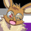 Hanz the eevee