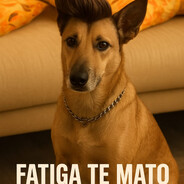 FATIGA