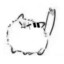 lingu_