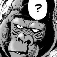 [JYzenith] James Yung 2 Moni G