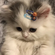 Saycka_ - steam id 76561199322376414