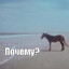 -пизда блефует