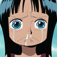 明天还有猫粮吃