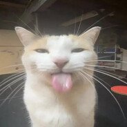 Kopr
