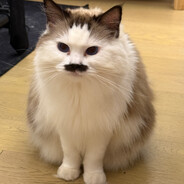 电竞少女何嘟嘟