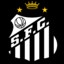 Santos Futebol Clube